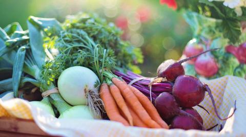 A basket of seasonal vegetables