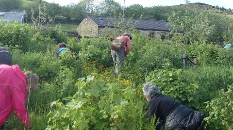 Group of people foraging in a forest garden