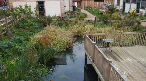 Natural pond surrounded by decking area with buildings in the background