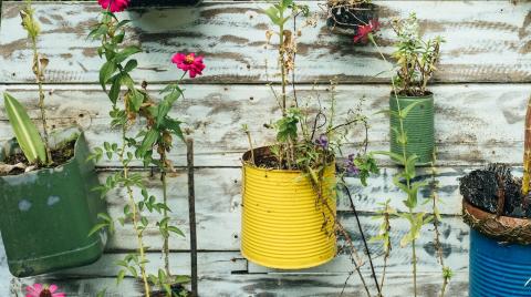 Selection of recycled coloured plant pots on a white wall. Photo: Bernard Hermant/Unsplash