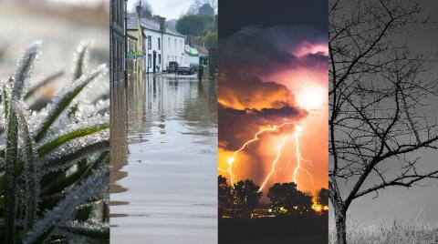 Image of Four Climates. First is frost on grass, second is a flooded high street, third is a thunder storm, and fourth is a tree during a drought