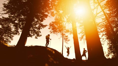 Three silhouettes hiking and jumping in the forrest with the sun shining through the trees