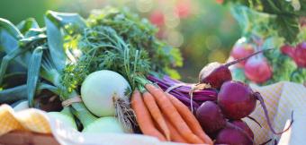 A basket of seasonal vegetables