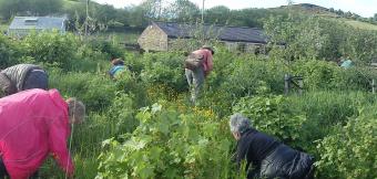 Group of people foraging in a forest garden