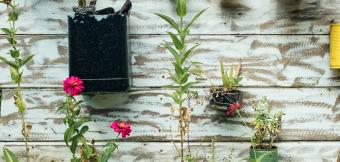 Selection of recycled coloured plant pots on a white wall. Photo: Bernard Hermant/Unsplash