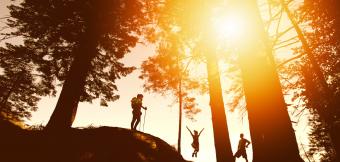 Three silhouettes hiking and jumping in the forrest with the sun shining through the trees