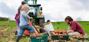 Child helping farm carrots with a tractor in the background.  Credit: Community Supported Agriculture (CSA) Network UK and Canalside Community Food