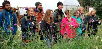 People standing behind flowering plants