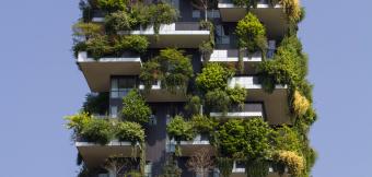 High Rise building using green roof technology