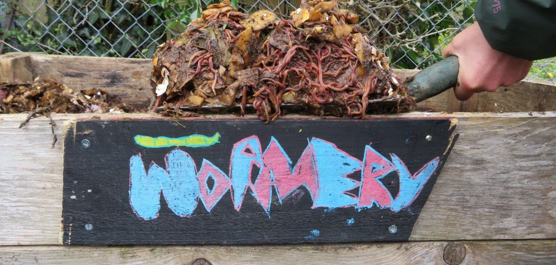 A gardener lifts a forkful of compost above a sign that says 'wormery'