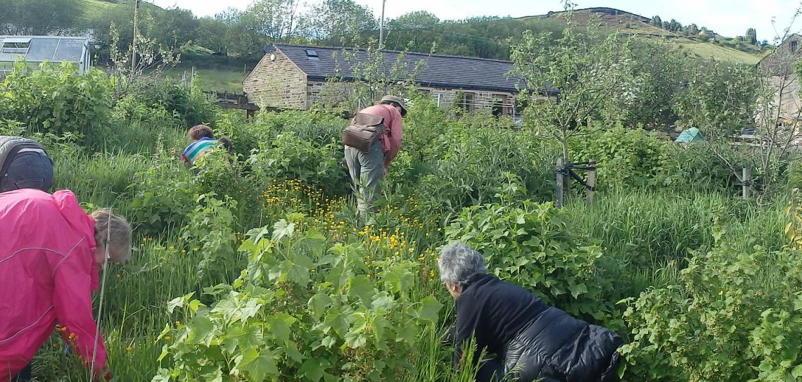 Group of people foraging in a forest garden