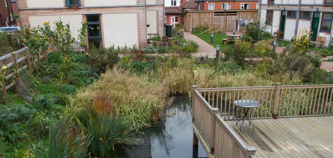 Natural pond surrounded by decking area with buildings in the background