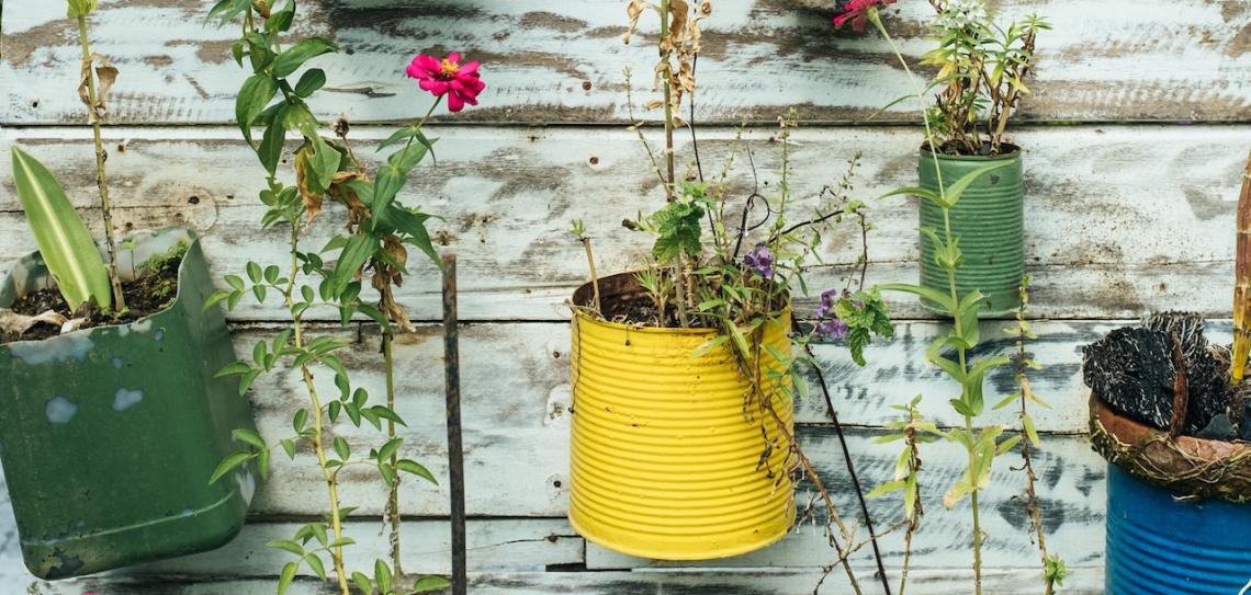 Selection of recycled coloured plant pots on a white wall. Photo: Bernard Hermant/Unsplash
