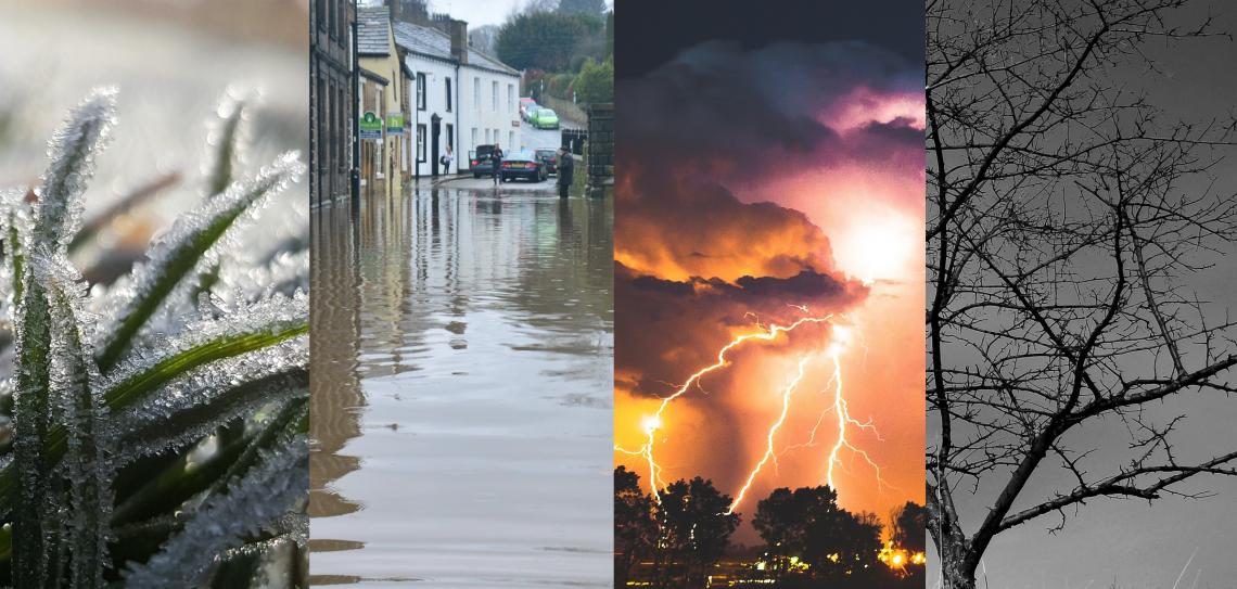 Image of Four Climates. First is frost on grass, second is a flooded high street, third is a thunder storm, and fourth is a tree during a drought