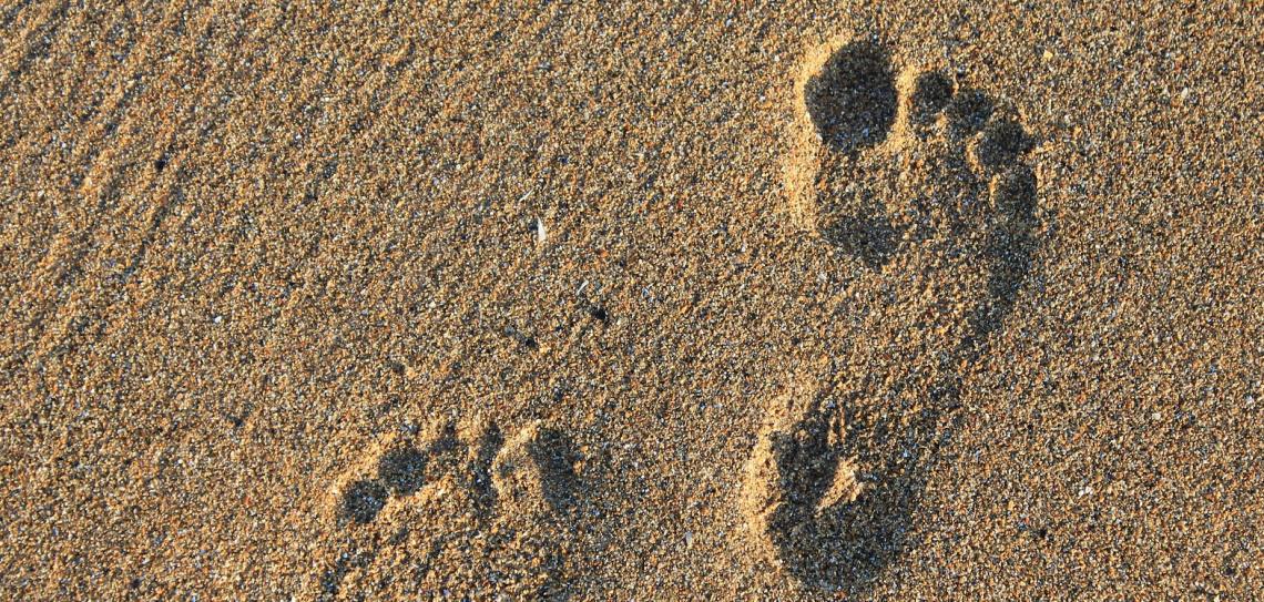 Footprints