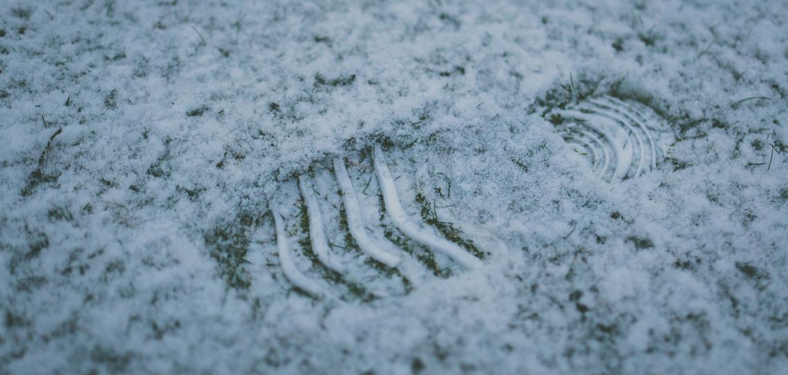 A carbon footprint is the amount of greenhouse gases released into the atmosphere as a result of the activities of a particular individual, organization, or community. Photo: Paul Green - unsplash.com Shoe footprint in the snow on grass