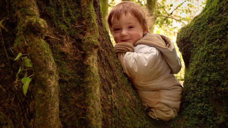 Child in tree