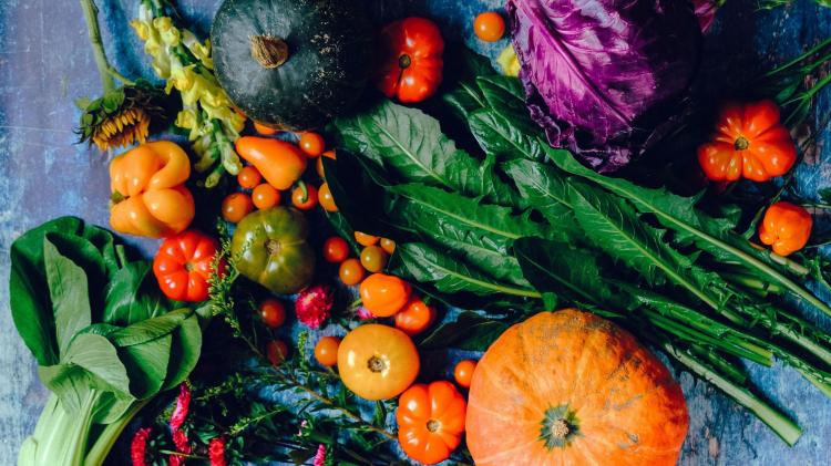 A harvest of home grown food