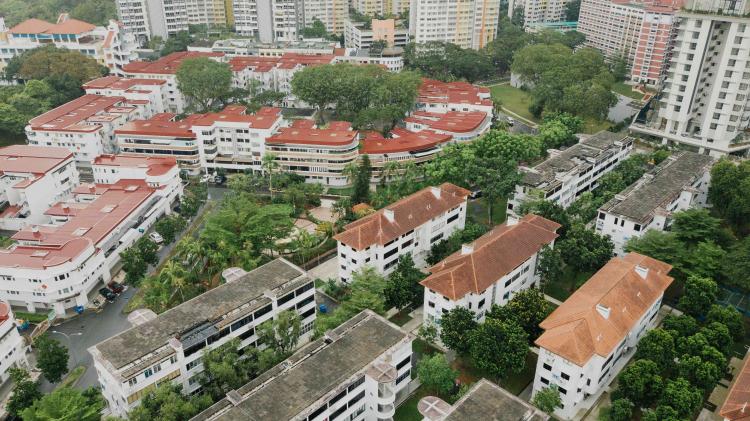 Residential houses surrounded by trees