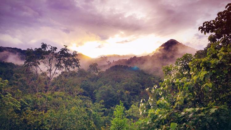 Clouds over a mountainous forest at sunset