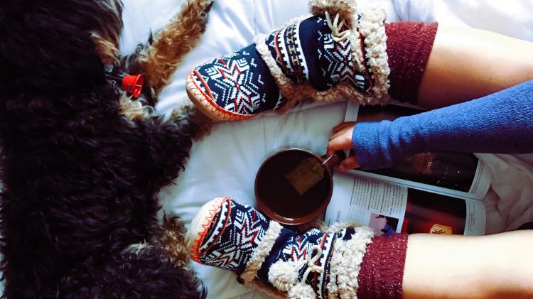 Person wearing slippers with a dog and a cup of tea