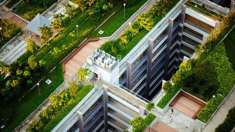 Green roofs are veritable ecosystems in the sky. Photo: Chuttersnap - Unsplash.com Tall building with a green roof
