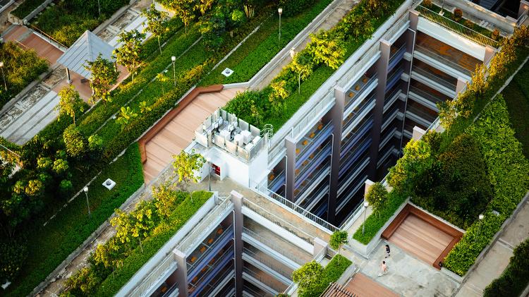 Tall building with a green roof