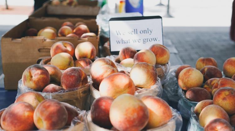 Peaches in containers for sale. Sign in the background says "We only sell what we grow"